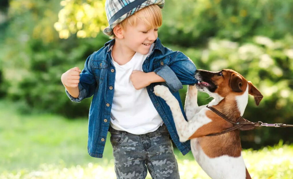 Hund som Biter Barn: Känn till orsakerna och försiktighetsåtgärderna